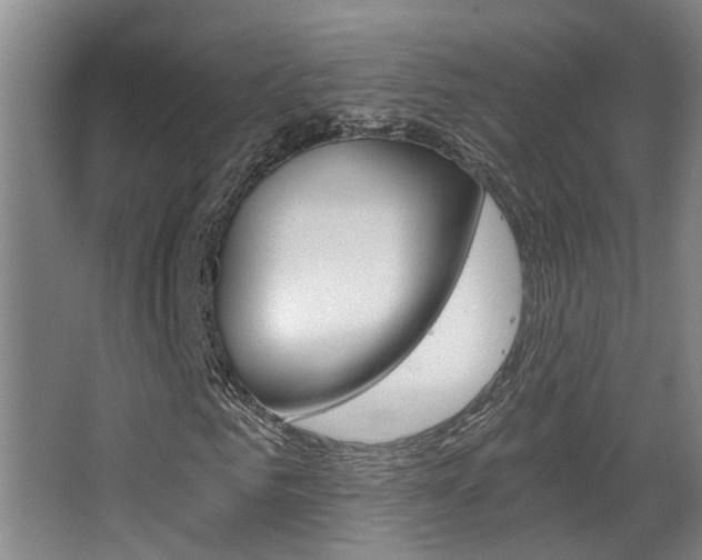 X0000068310961200604211032