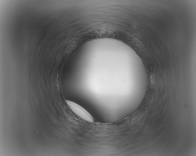 X0000068310963200604211032
