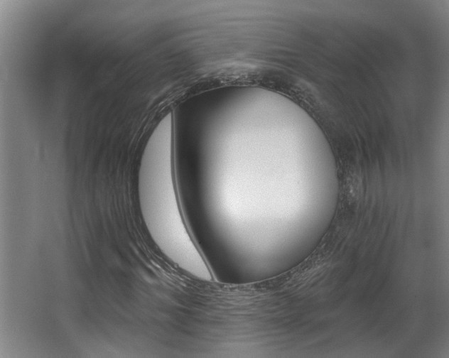 X0000068310964200604211032