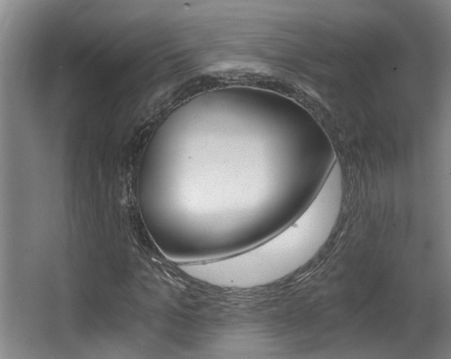 X0000068310965200604211032