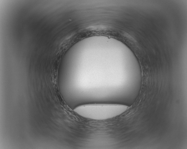 X0000068310966200604211032