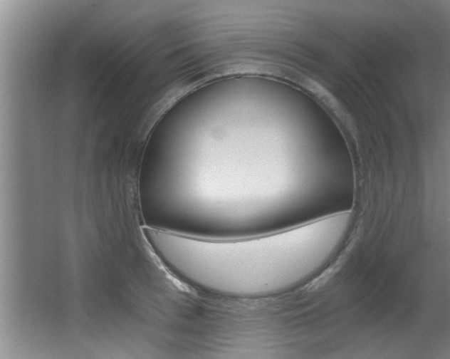 X0000068310993200604211032