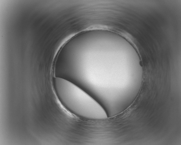 X0000068311003200604211032