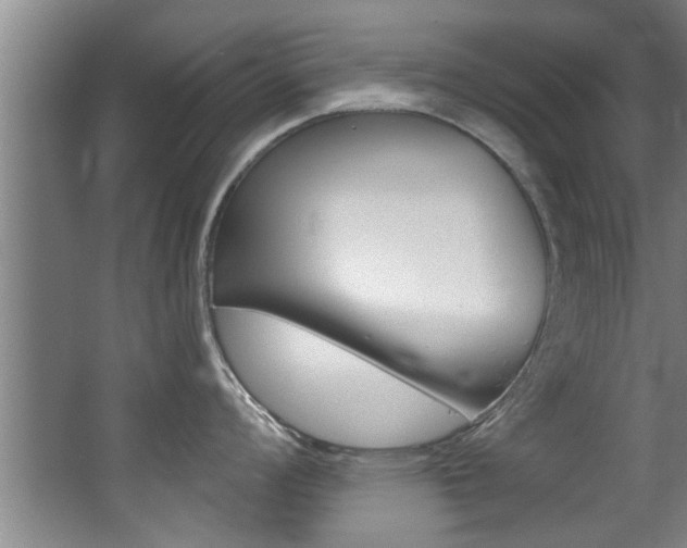 X0000068311008200604211032
