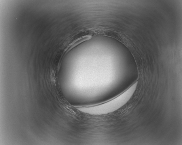 X0000068311010200604211031
