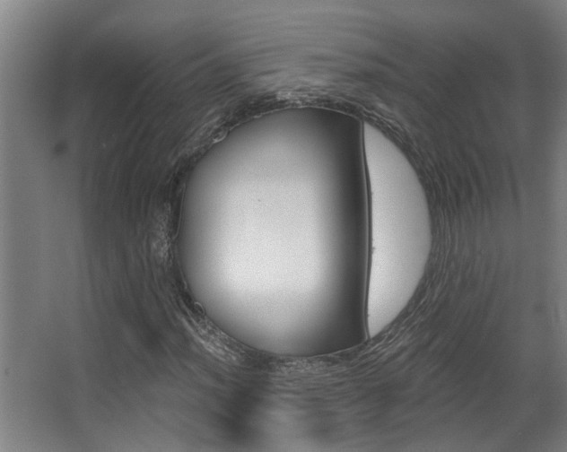 X0000068311012200604211031