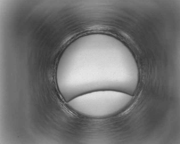 X0000068311017200604211031