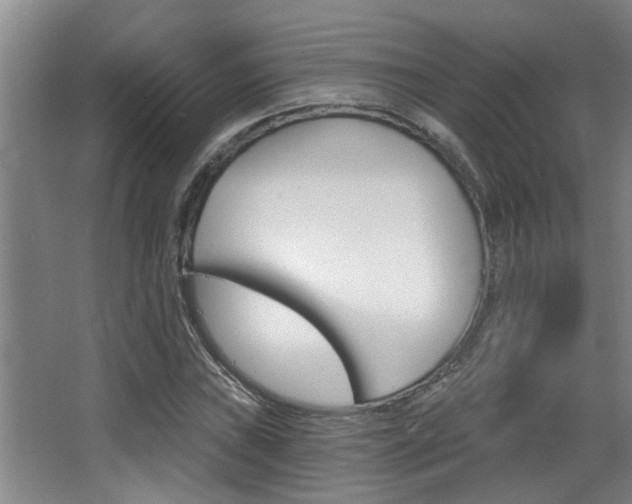X0000068311019200604211031