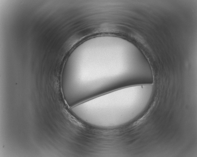 X0000068311025200604211031