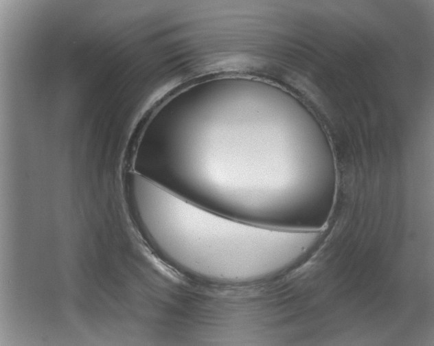 X0000068311026200604211031
