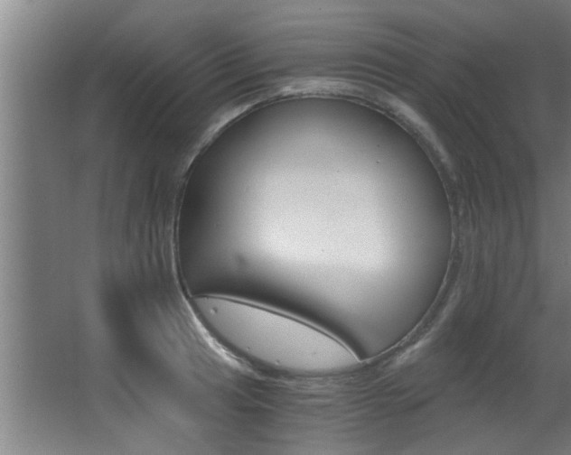 X0000068311041200604211031