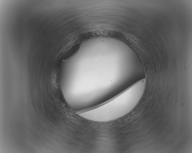 X0000068311060200604211031