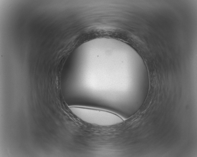 X0000068311061200604211031