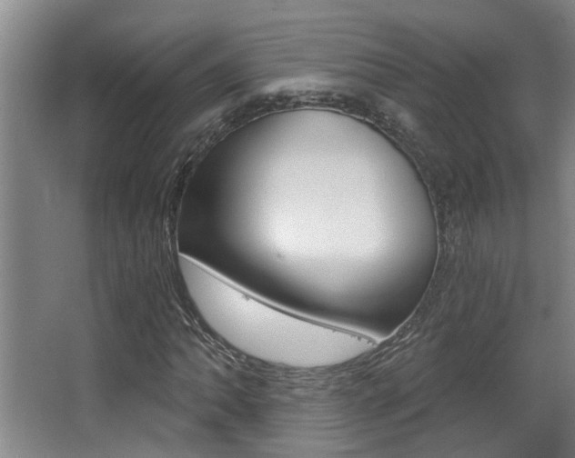 X0000068311062200604211031