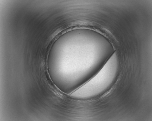 X0000068311065200604211031