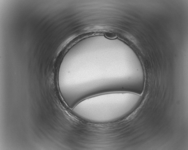 X0000068311066200604211031