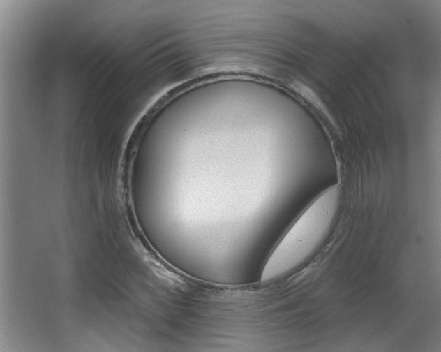 X0000068311068200604211030