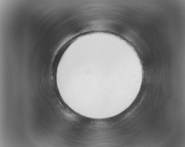 X0000068311070200604211030