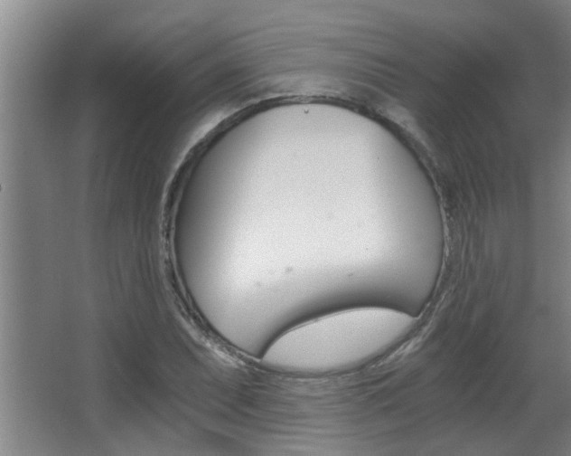 X0000068311071200604211030