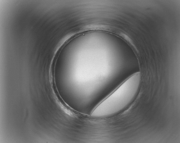X0000068311082200604211030