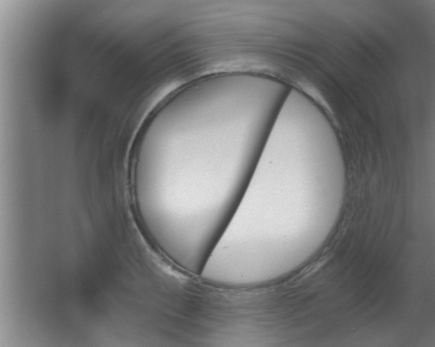 X0000068311087200604211030