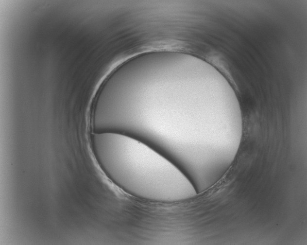 X0000068311099200604211030