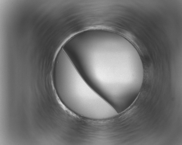 X0000068311100200604211030