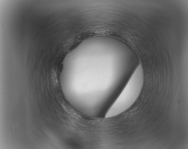 X0000068311106200604211029