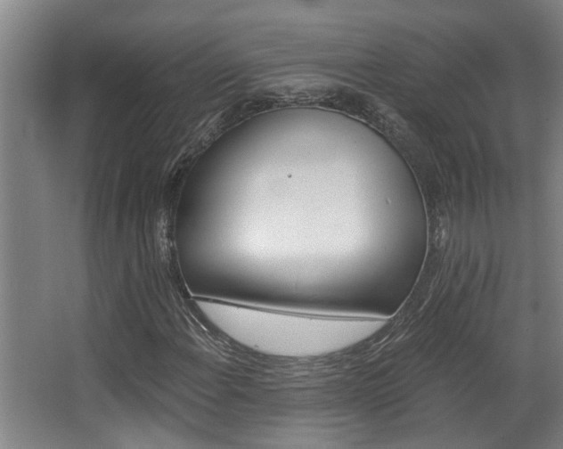 X0000068311108200604211029