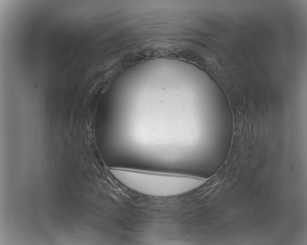 X0000068311109200604211029