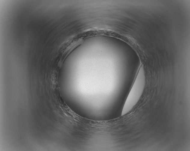 X0000068311110200604211029
