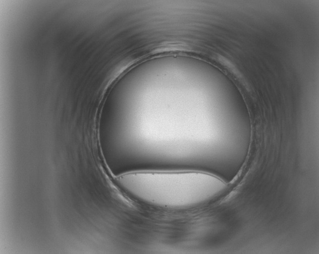 X0000068311129200604211029