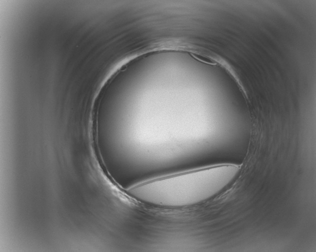 X0000068311147200604211030