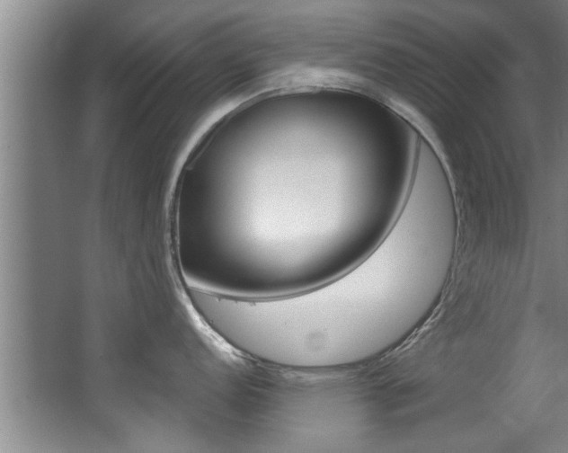 X0000068311152200604211030