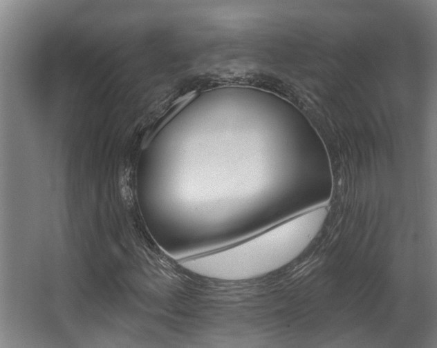 X0000068311156200604211029