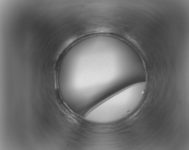 X0000068311171200604211029