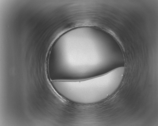X0000068311187200604211028