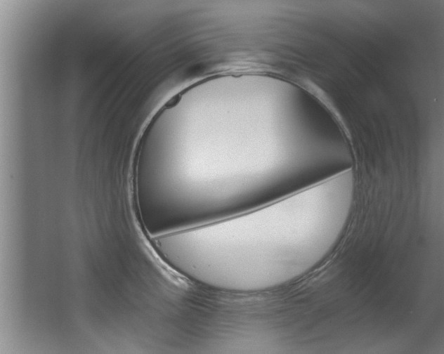 X0000068311195200604211028