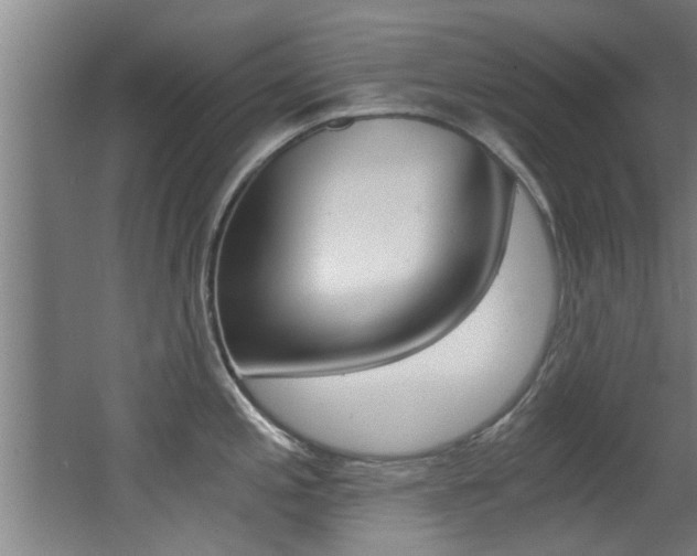 X0000068311197200604211028