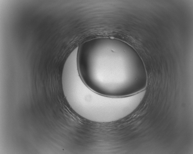 X0000068311202200604211027