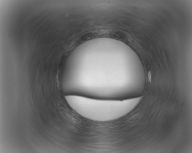 X0000068311203200604211028