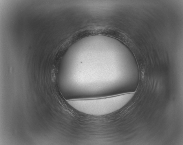 X0000068311204200604211028