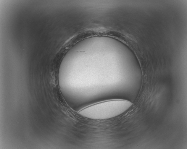 X0000068311205200604211028