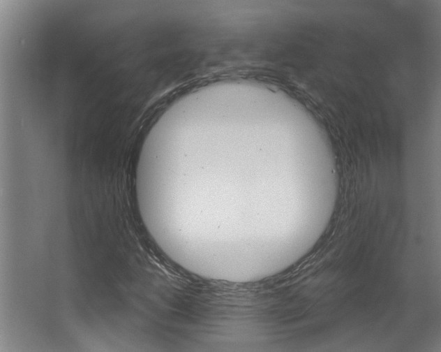 X0000068311206200604211028