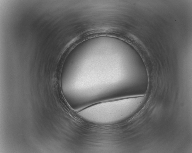 X0000068311210200604211028