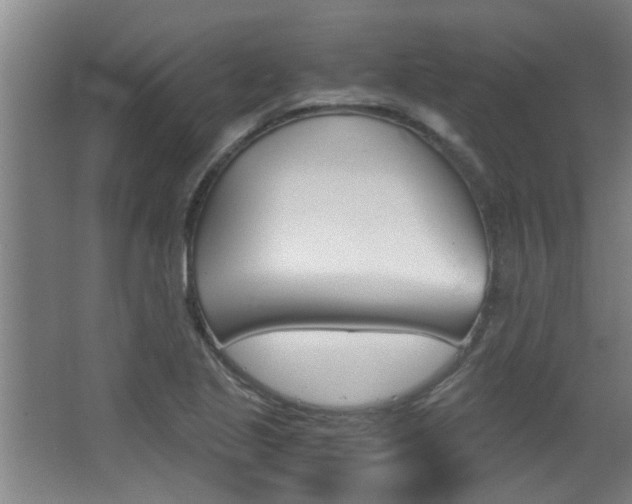 X0000068311221200604211028