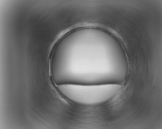 X0000068311223200604211028