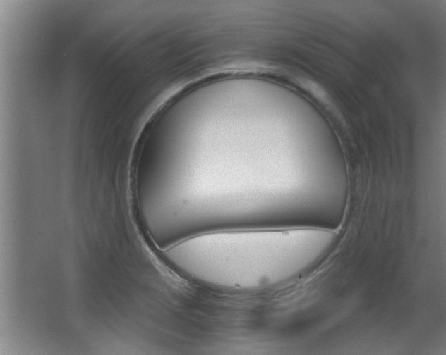 X0000068311229200604211028