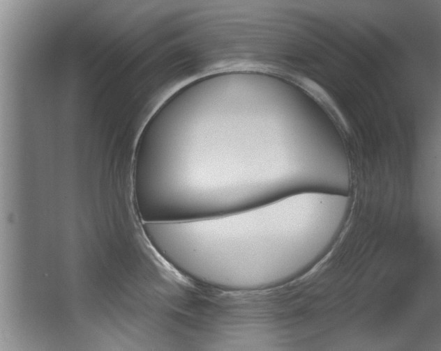 X0000068311244200604211028