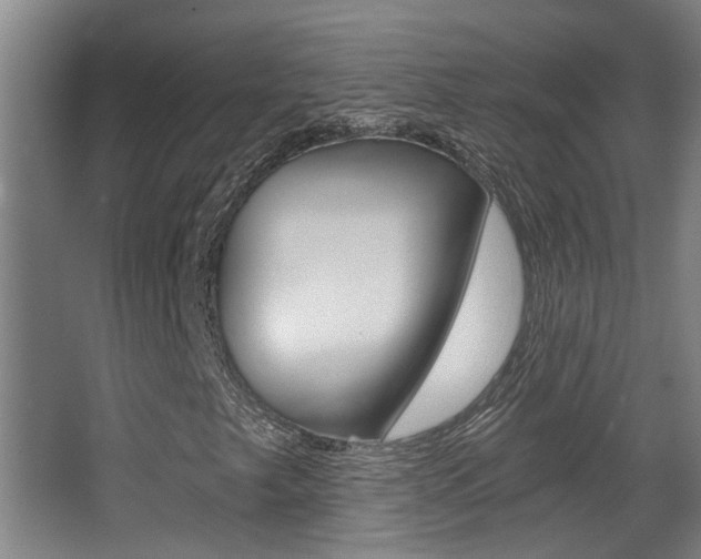 X0000068311249200604211027